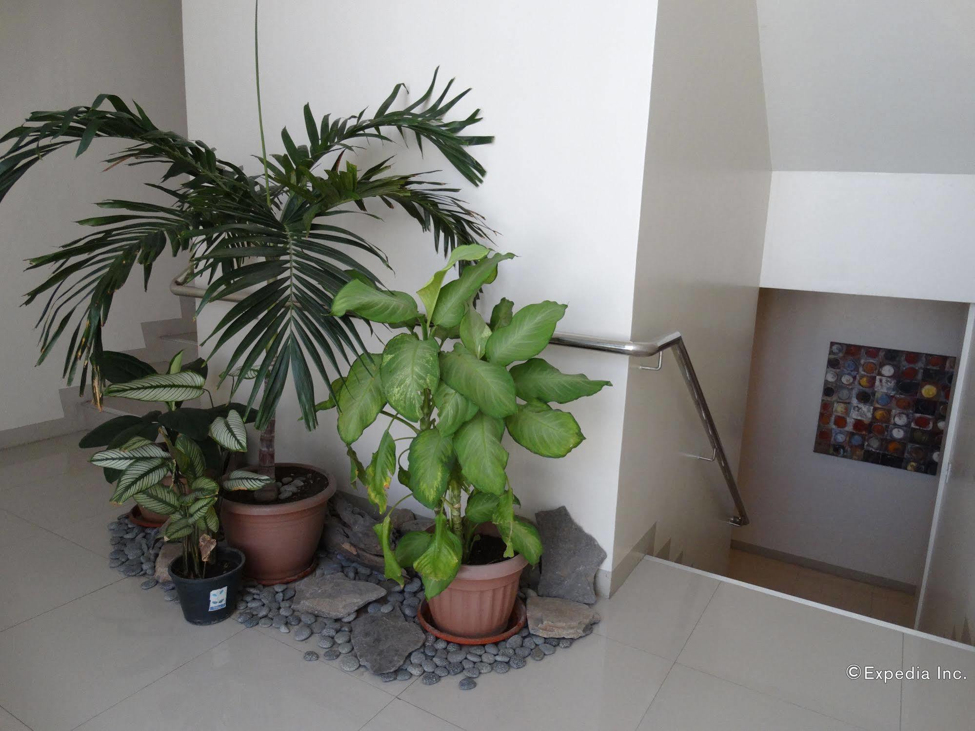 Infinity Suites Davao Екстер'єр фото